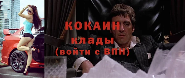 сатива Липки