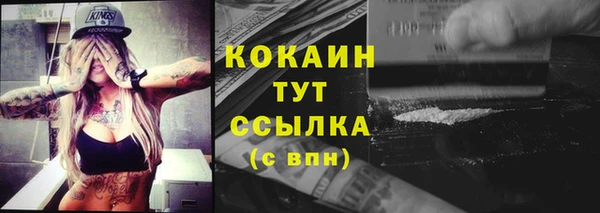 сатива Липки
