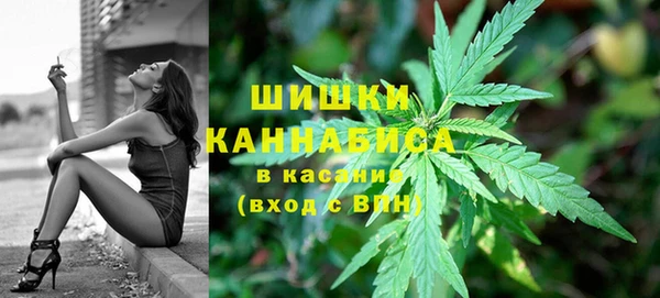 сатива Липки