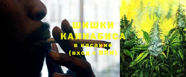 стаф Долгопрудный