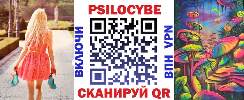 Псилоцибиновые грибы Psilocybe  Купить закладки  Касли 